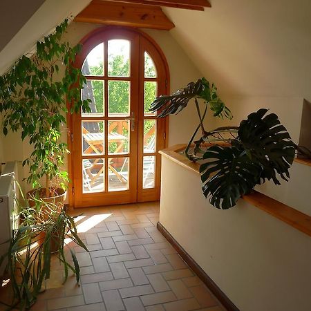 Aranyhaz Apartmanszallas ティハニ エクステリア 写真