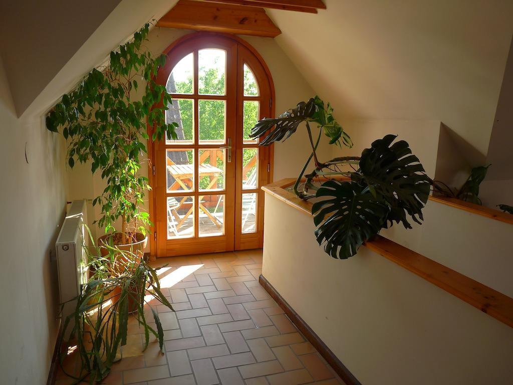 Aranyhaz Apartmanszallas ティハニ エクステリア 写真